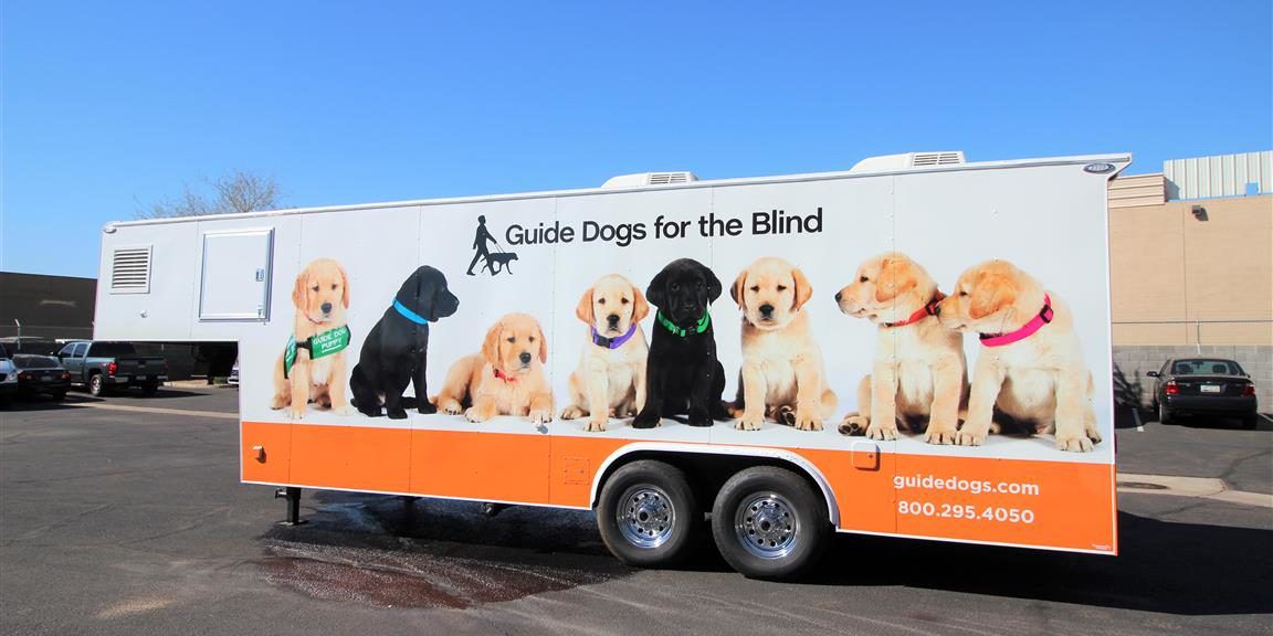 GUIDE DOGS FOR THE BLIND PUPPY TRAINING